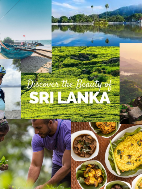 Screenshot 2024-11-16 093849